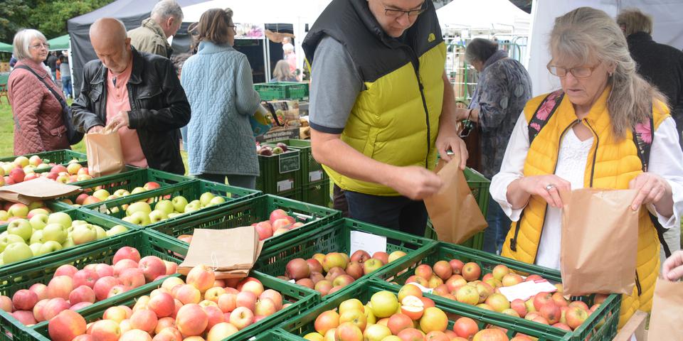 Apfelmarkt 2024