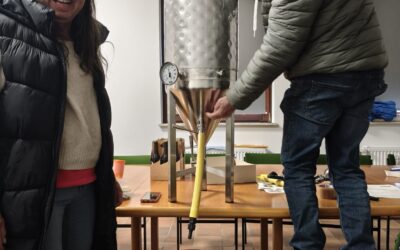 Bierabfüllung ins Faß